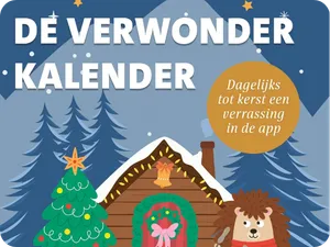 Intratuin online adventskalender verwonder kalender